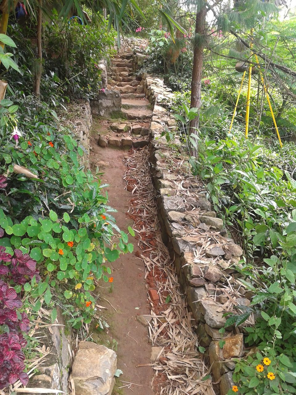 Photo of Kotagiri beckons #offbeatplace by Divya Sainathan