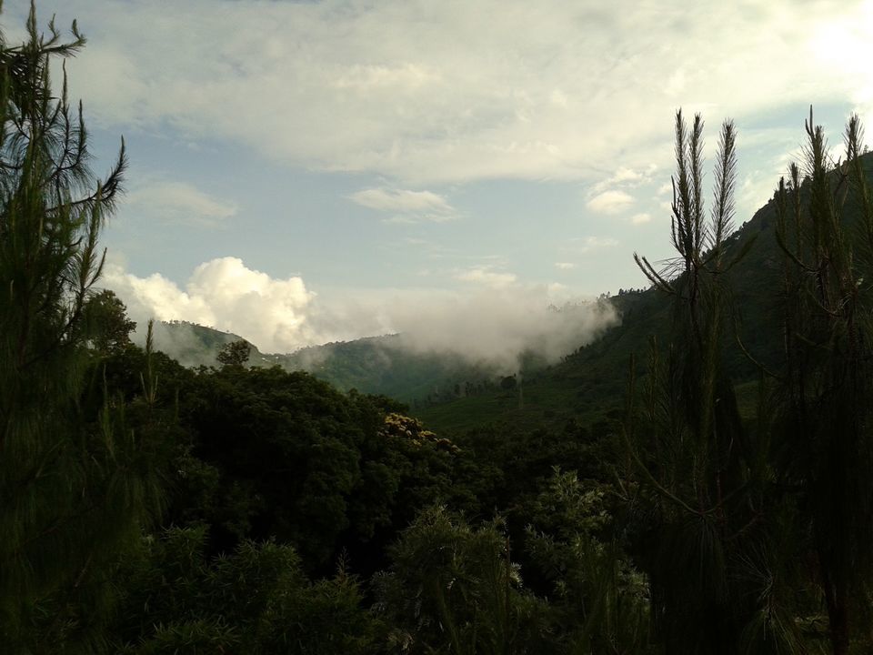 Photo of Kotagiri beckons #offbeatplace by Divya Sainathan