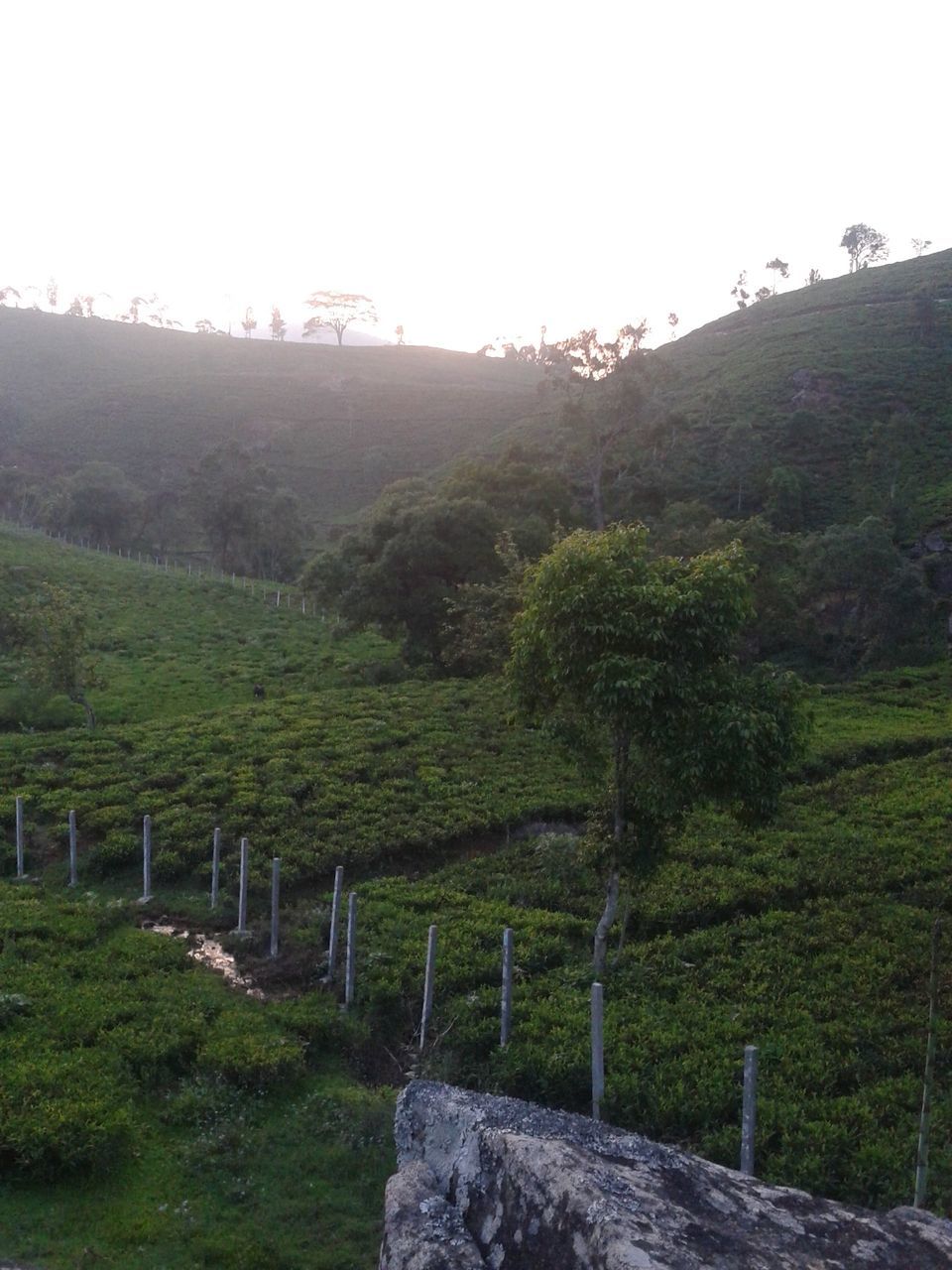 Photo of Kotagiri beckons #offbeatplace by Divya Sainathan
