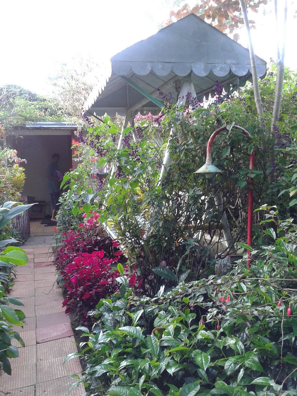 Photo of Kotagiri beckons #offbeatplace by Divya Sainathan