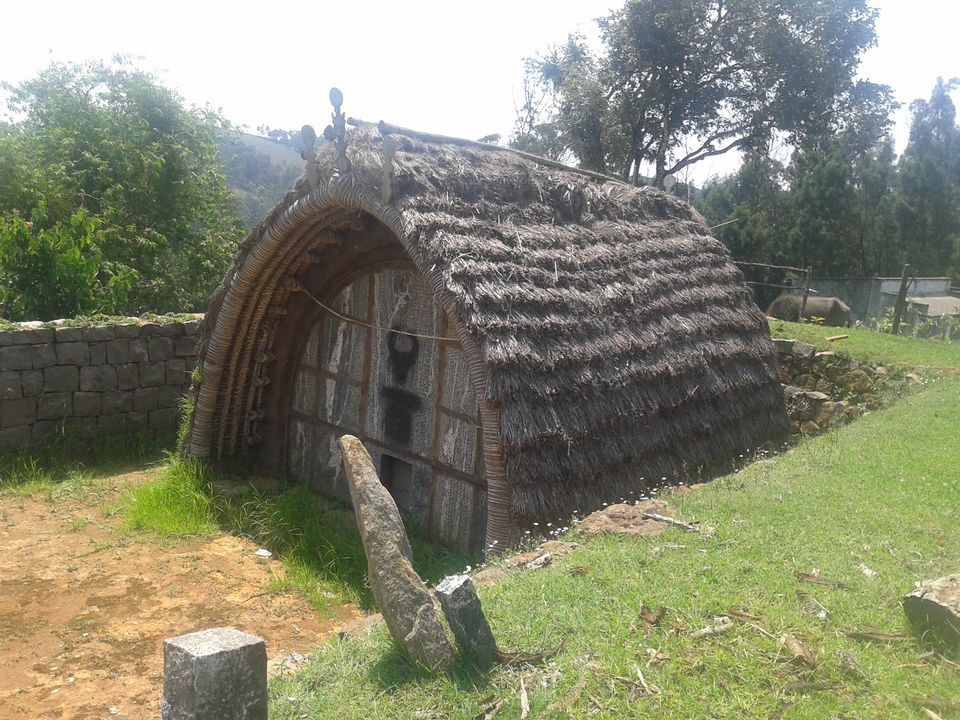 Photo of Kotagiri beckons #offbeatplace by Divya Sainathan