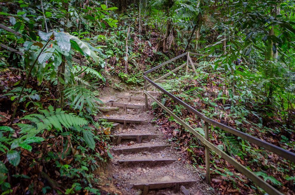 Photo of Kinabalu National Park, Kinabalu Park, Ranau, Sabah, Malaysia by Rohan Sood