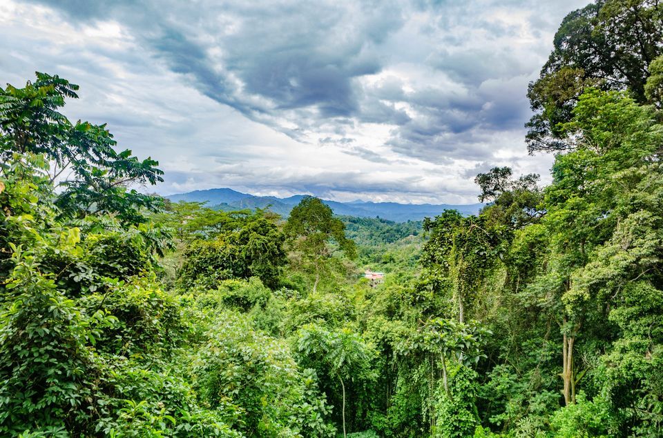 Photo of Kinabalu National Park, Kinabalu Park, Ranau, Sabah, Malaysia by Rohan Sood