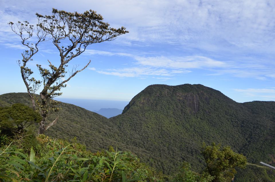 Photo of Adam's Peak, Sripadaya, Nuwara Eliya, Sri Lanka by Rohan Sood