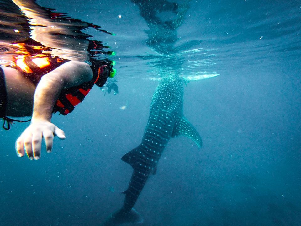 Photo of Philippines by Rohan Sood