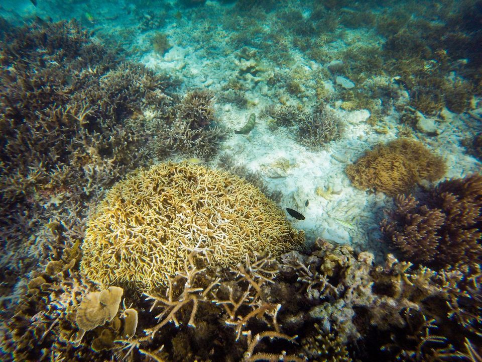 Photo of Philippines by Rohan Sood