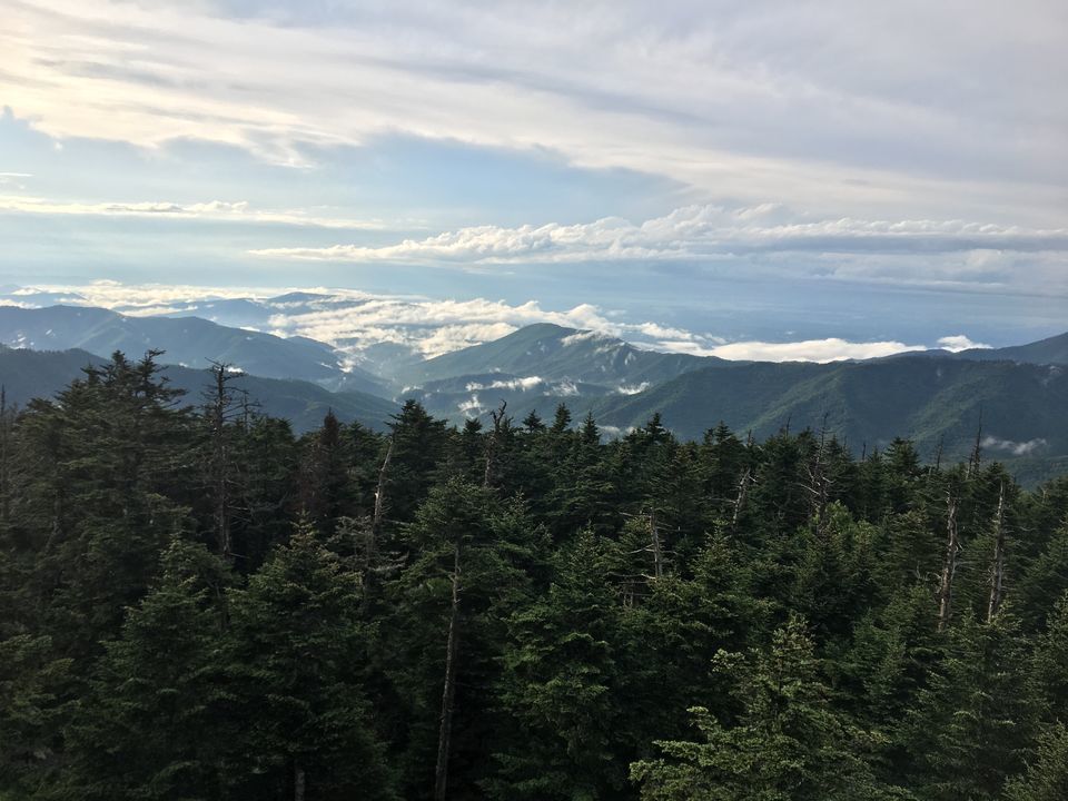 Photo of Clingmans Dome, Forneys Creek, NC, USA by Shakti Chauhan