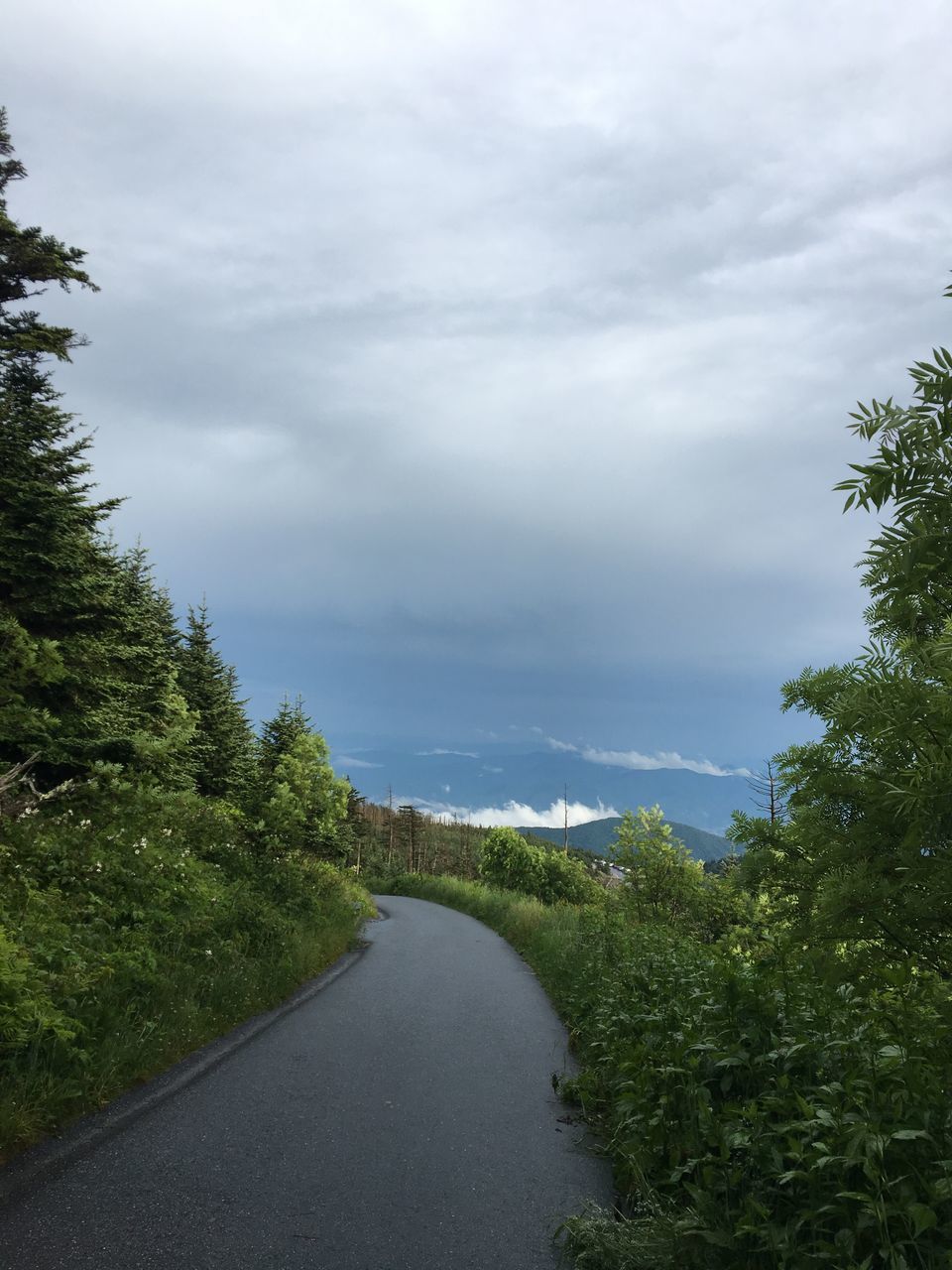 Photo of Clingmans Dome: Visit the Highest Point in the Smoky Mountains. #travelguideUSA by Shakti Chauhan