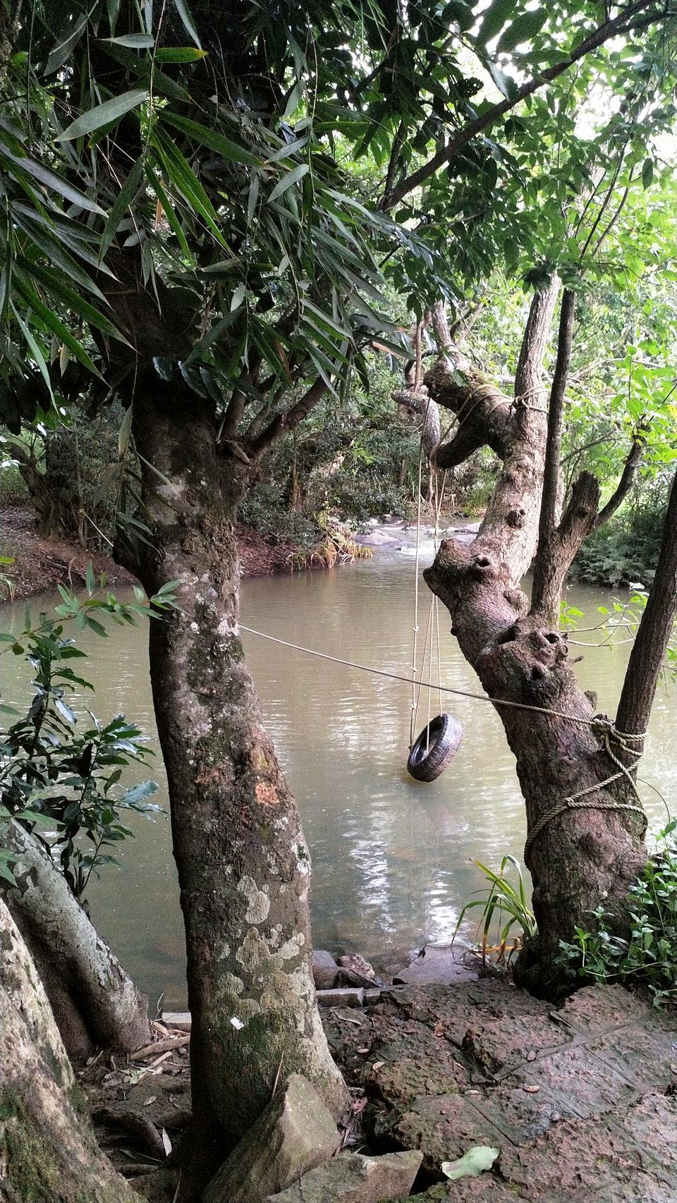 Photo of Amanvana Resort & Spa, Kushalnagar, Karnataka, India by Lakshmi Menon