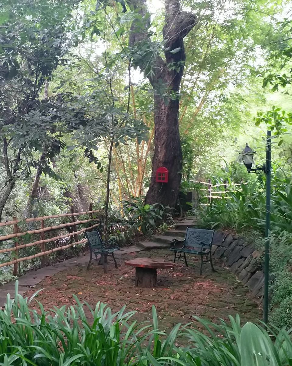 Photo of Amanvana Resort & Spa, Kushalnagar, Karnataka, India by Lakshmi Menon