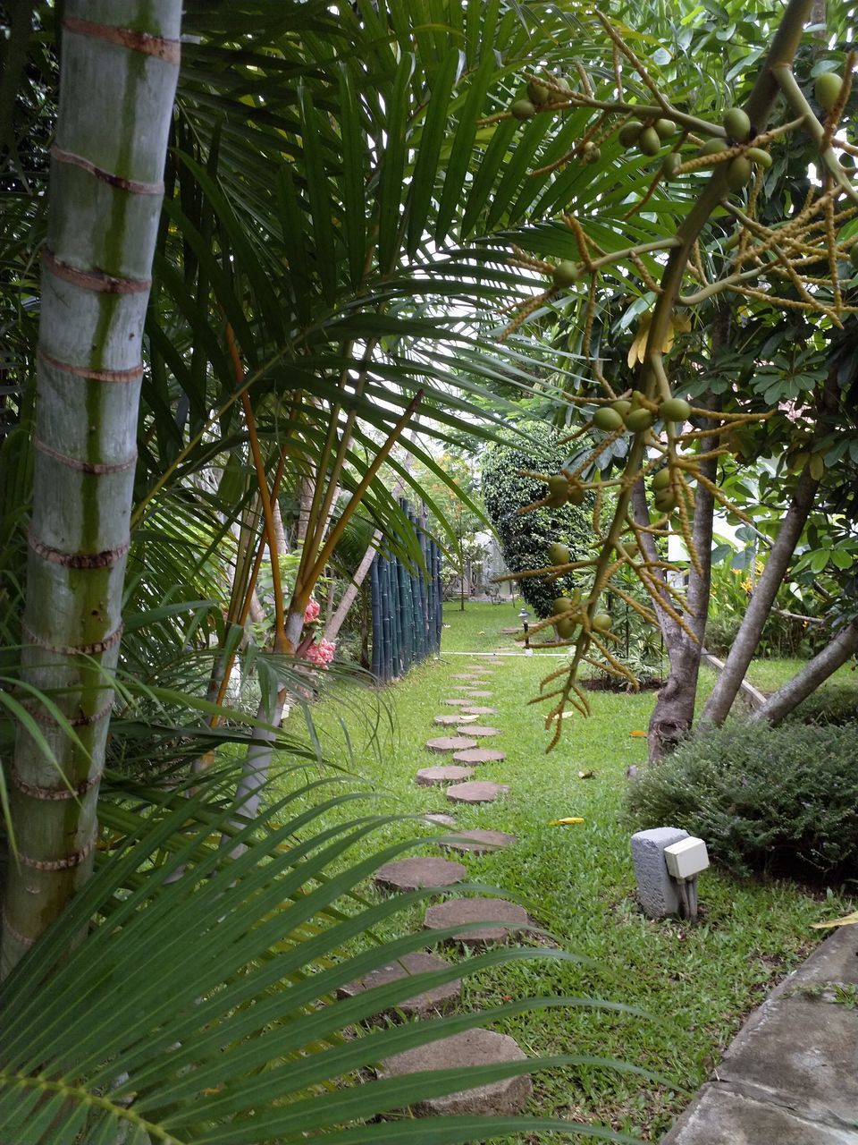 Photo of Amanvana Resort & Spa, Kushalnagar, Karnataka, India by Lakshmi Menon