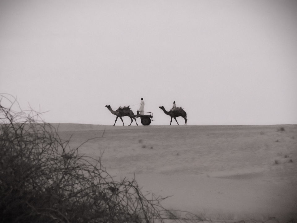 Photo of Suryagarh Hotel, Ram Kund, Jaisalmer, Rajasthan, India by Mohana Talapatra
