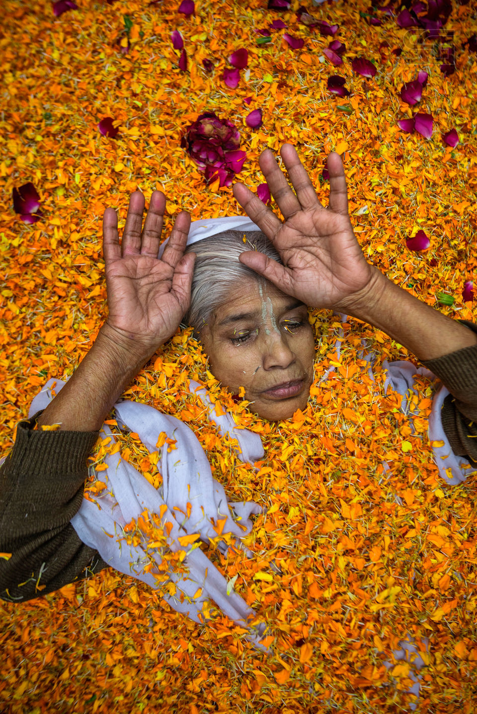 Photo of Vrindavan, Uttar Pradesh, India by sourabhgandhi