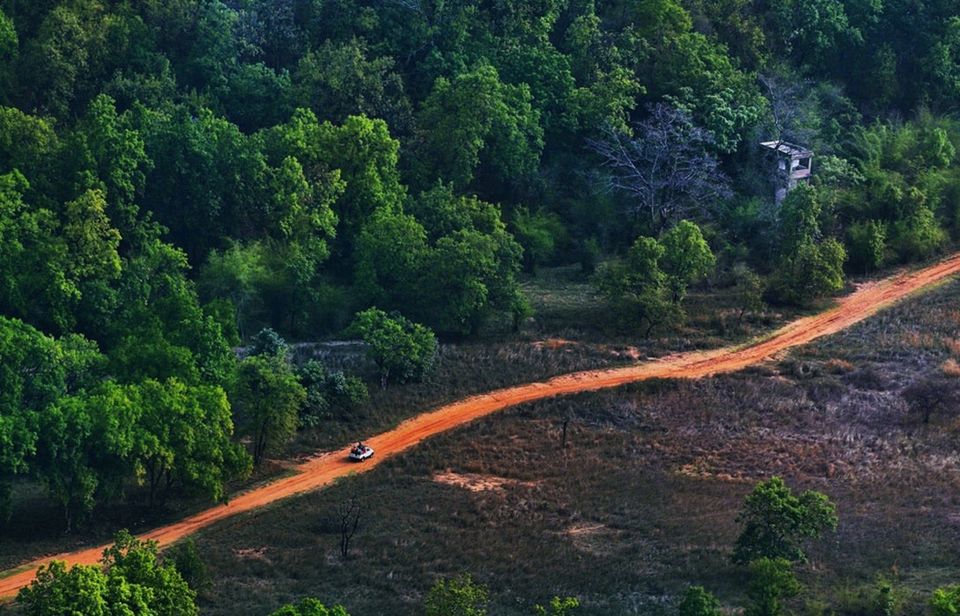 Photo of 3 Forest Getaways In India That Are So Stunning You'll Want To Stay Forever 1/10 by Himani Khatreja