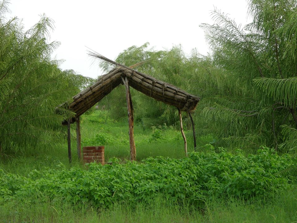 Photo of 7 Quirky Farmstay Escapes That Will Satisfy Your Love For The Outdoors 4/14 by Himani Khatreja