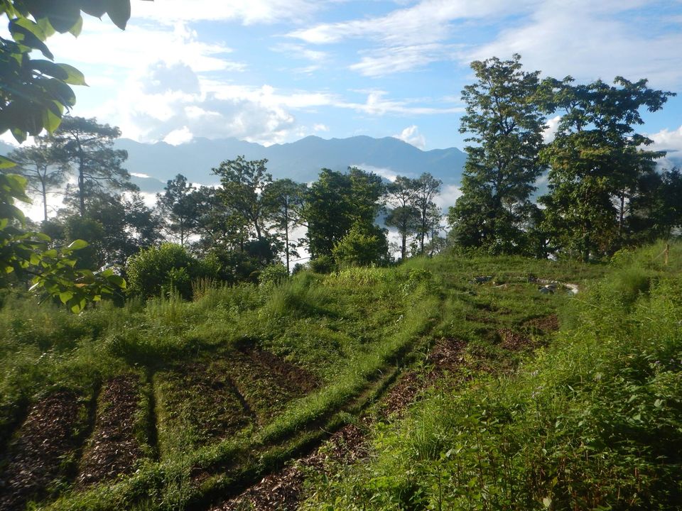 Photo of 7 Quirky Farmstay Escapes That Will Satisfy Your Love For The Outdoors 5/14 by Himani Khatreja