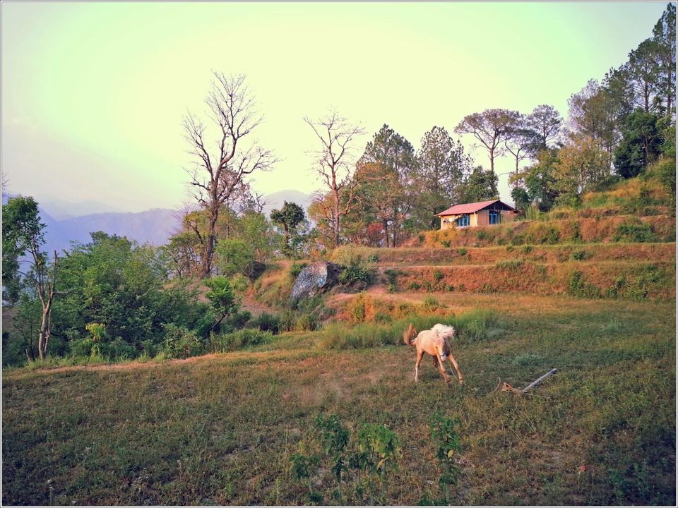 Photo of 7 Quirky Farmstay Escapes That Will Satisfy Your Love For The Outdoors 6/14 by Himani Khatreja