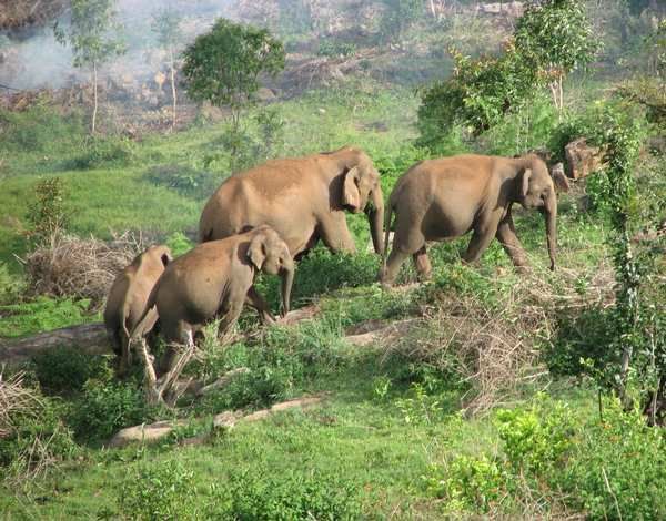 Photo of 7 Quirky Farmstay Escapes That Will Satisfy Your Love For The Outdoors 8/14 by Himani Khatreja