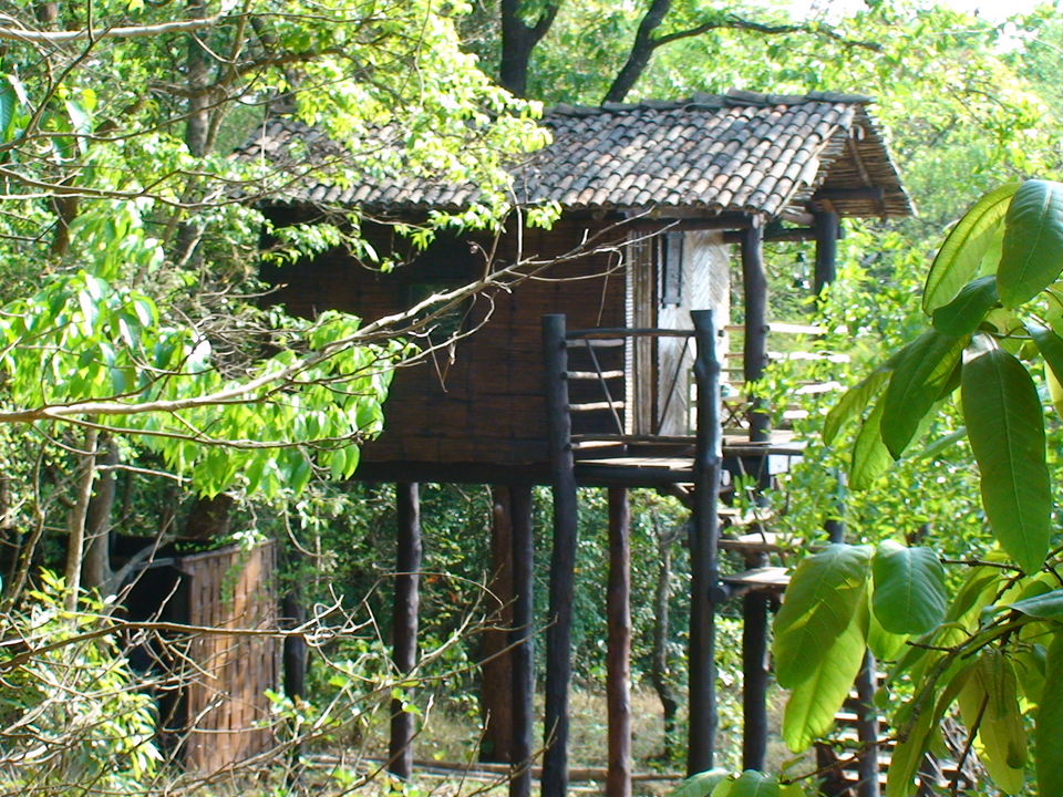 Photo of 7 Quirky Farmstay Escapes That Will Satisfy Your Love For The Outdoors 11/14 by Himani Khatreja