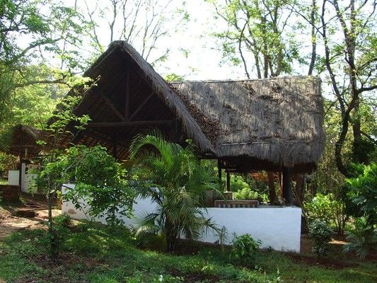 Photo of 7 Quirky Farmstay Escapes That Will Satisfy Your Love For The Outdoors 12/14 by Himani Khatreja