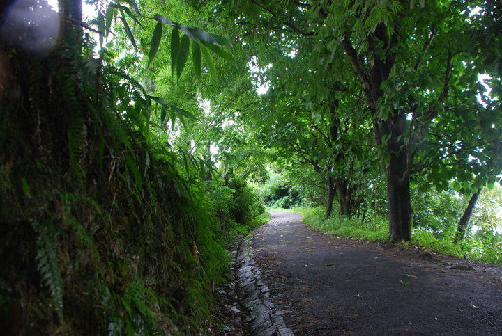 Photo of 7 Quirky Farmstay Escapes That Will Satisfy Your Love For The Outdoors 14/14 by Himani Khatreja