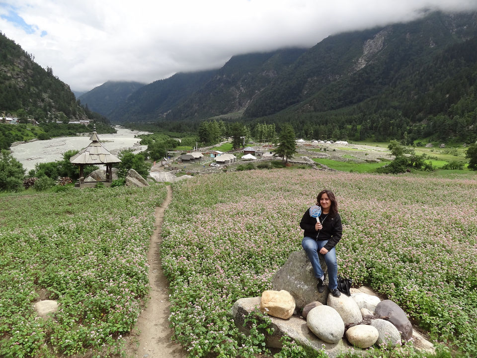 Photo of Undiscovered Treks In Himachal's Hidden Pabbar Valley That No One Knows About 1/5 by Himani Khatreja