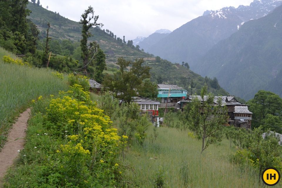 Photo of Undiscovered Treks In Himachal's Hidden Pabbar Valley That No One Knows About 3/5 by Himani Khatreja