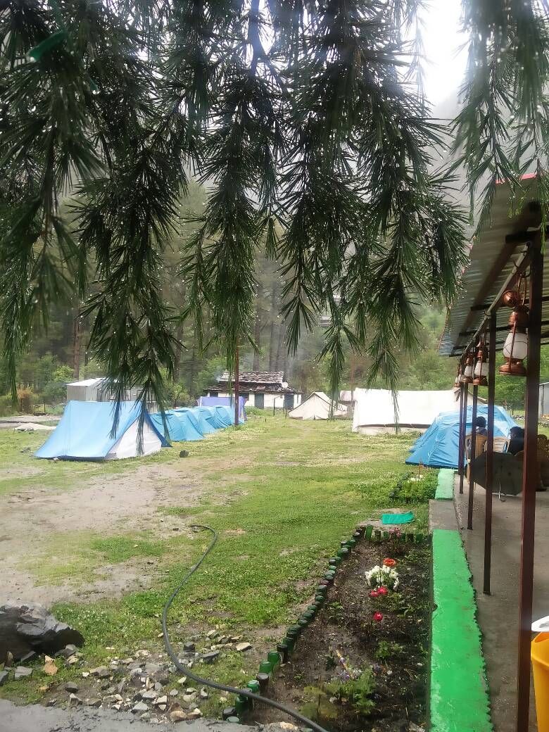 Photo of KASOL : Parvati Woods Camp 7/9 by IBIS