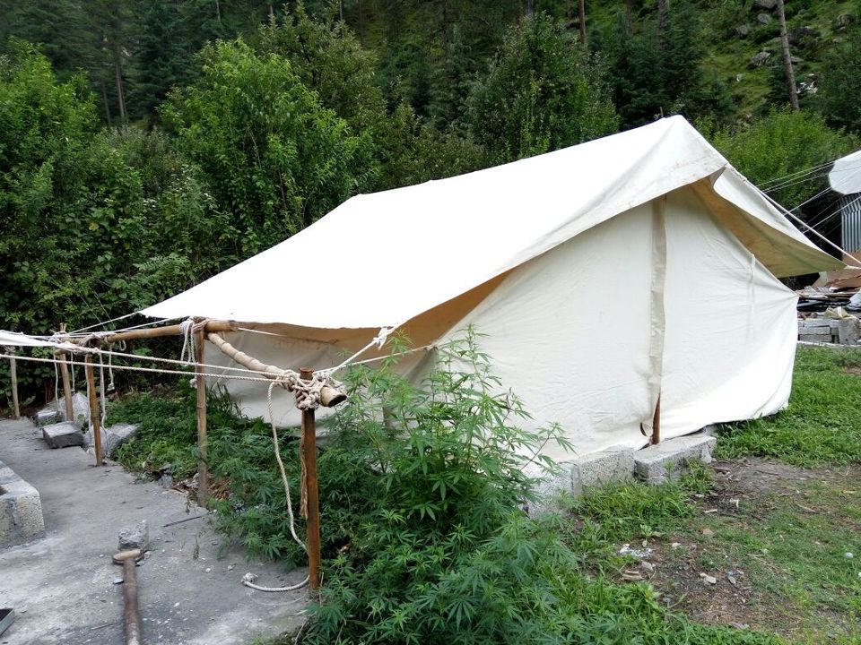 Photo of Camping in Kasol.....do it here at Parvati Woods Camp 11/14 by Ajay K Raina