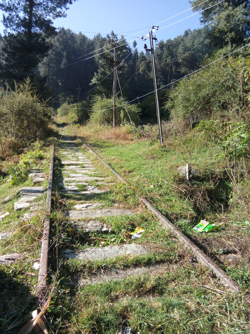 Photo of Barot....a stop over 6/19 by Ajay K Raina