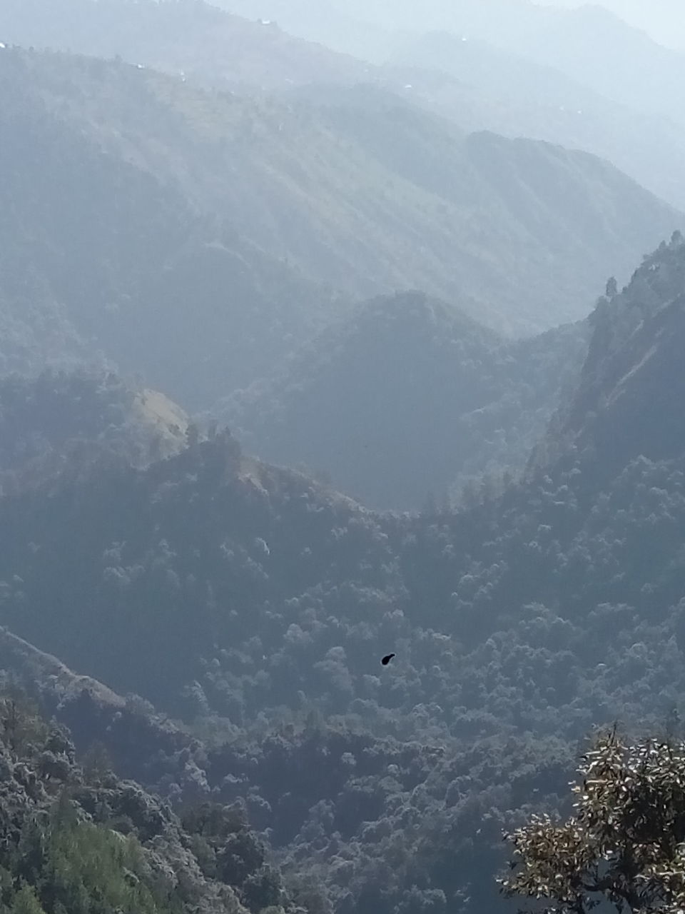 Photo of Barot....a stop over 16/19 by Ajay K Raina