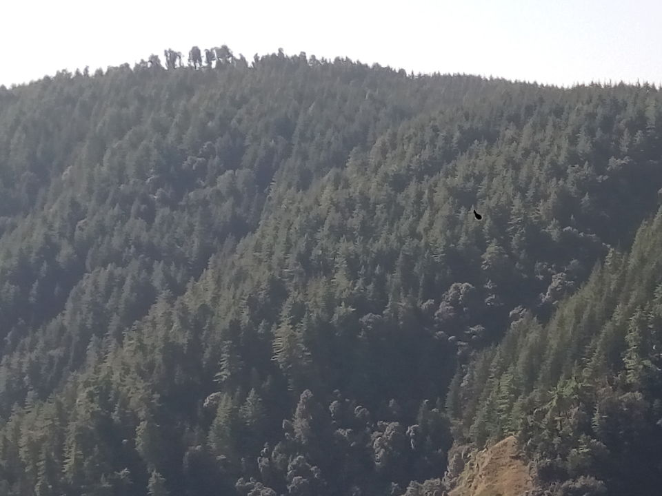 Photo of Barot....a stop over 17/19 by Ajay K Raina