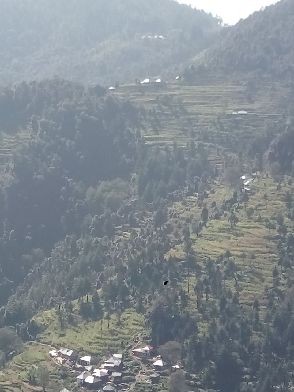 Photo of Barot....a stop over 18/19 by Ajay K Raina