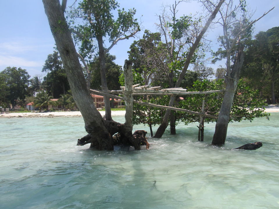 Photo of Andamans!! by Ajay K Raina