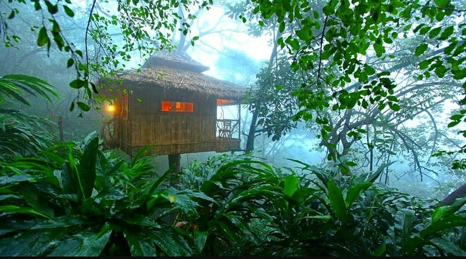 Photo of Romantic Monsoon Destinations for Honeymoon ! by Shikha Singh