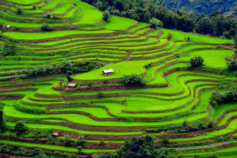 Photo of These 66 Pictures will give you a serious travel goals Ever, I bet ! 11/66 by Shikha Singh