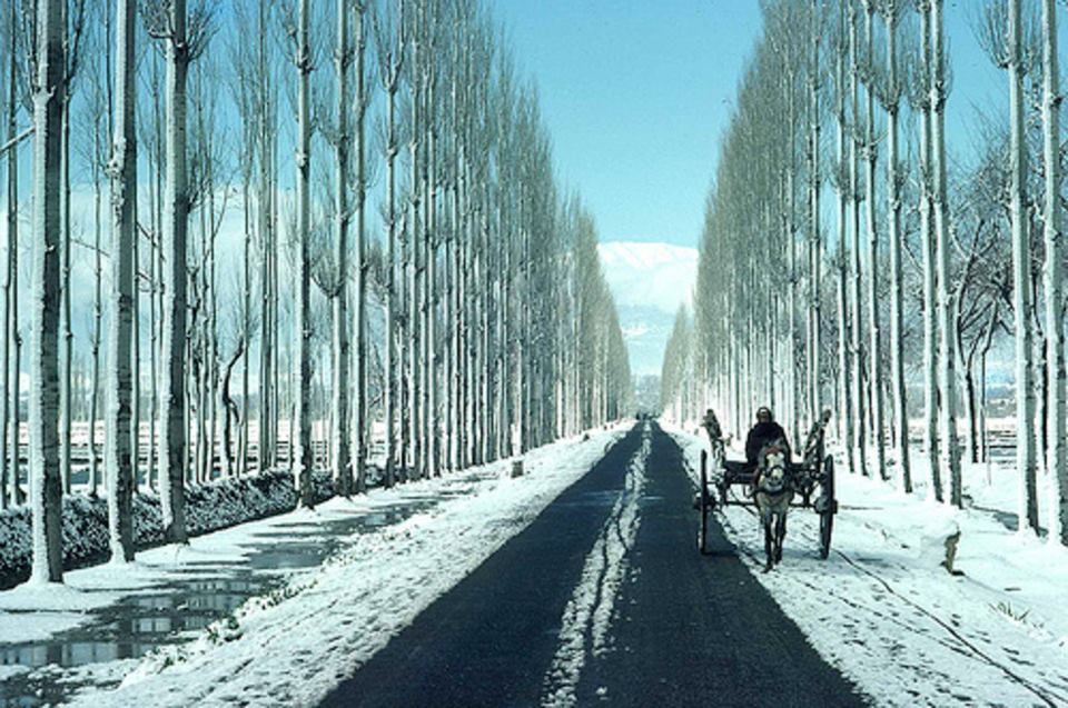 Photo of These 66 Pictures will give you a serious travel goals Ever, I bet ! 6/66 by Shikha Singh