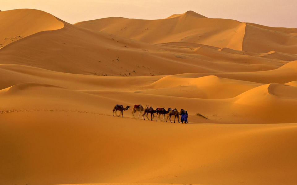 Photo of These 66 Pictures will give you a serious travel goals Ever, I bet ! 18/66 by Shikha Singh