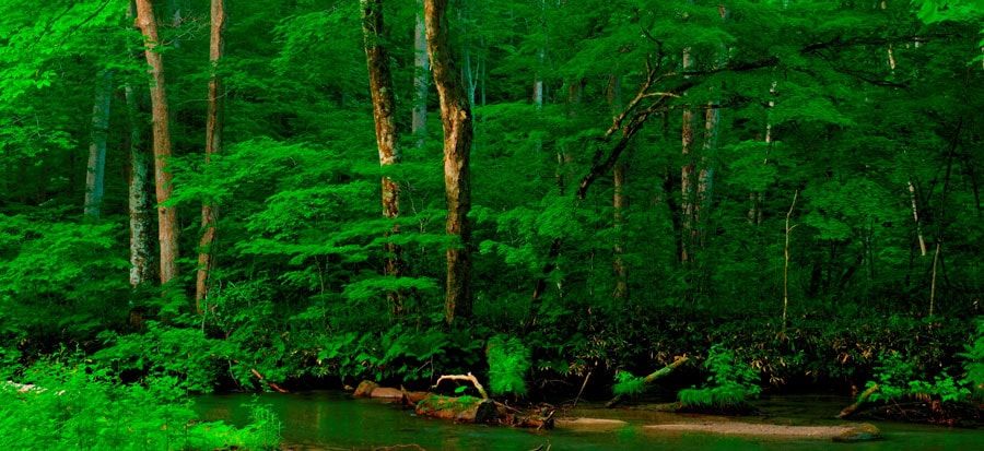 Photo of These 66 Pictures will give you a serious travel goals Ever, I bet ! 37/66 by Shikha Singh