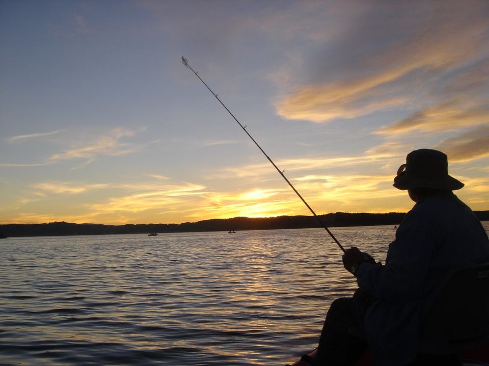 Photo of Kolleru Lake In Andhra Pradesh: Here Is Everything You Need To Know 3/5 by Shikha Singh