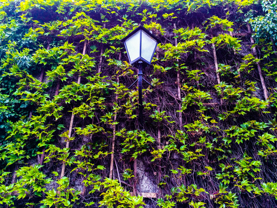 Photo of Day trip from Munich: Strolling in and around Salzburg, Austria 6/8 by Nisha Dalal