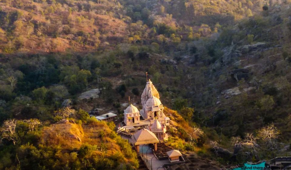 Photo of Rajasthan Diaries: Mount Abu 2/4 by Nisha Dalal