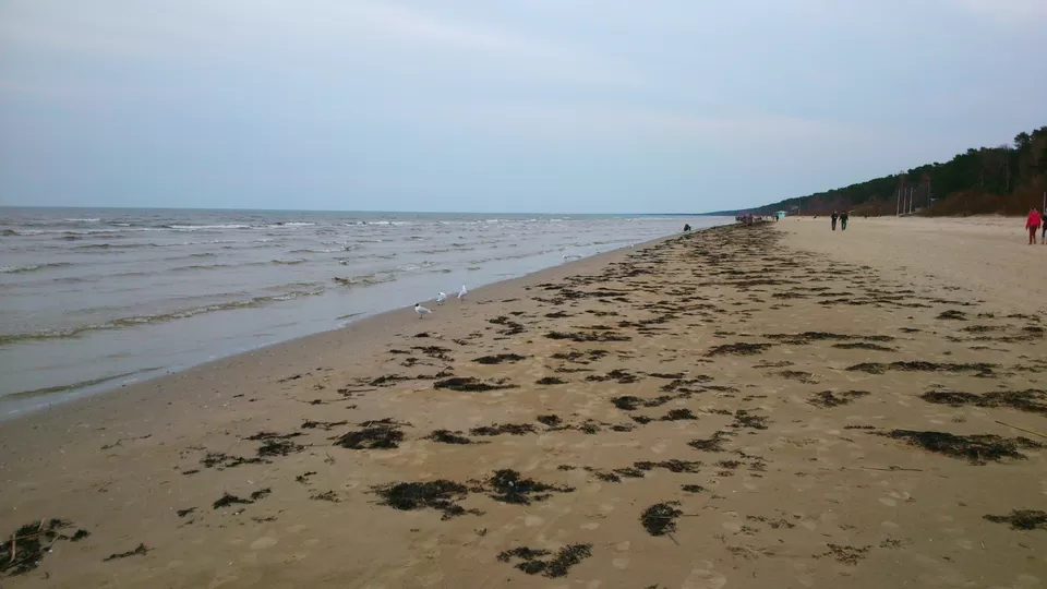 Photo of Jūrmala, Jūrmalas pilsēta, Latvia by Manju Sihag