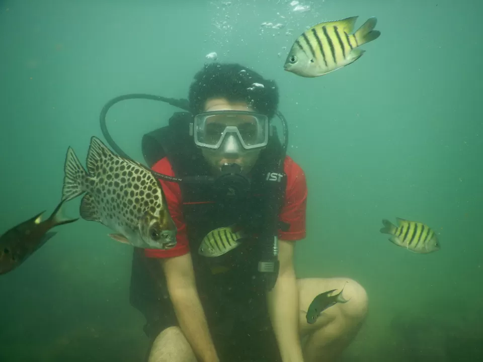 Photo of Malvan Jetty, Doctor Ballav Marg, Malvan, Maharashtra, India by Sneha