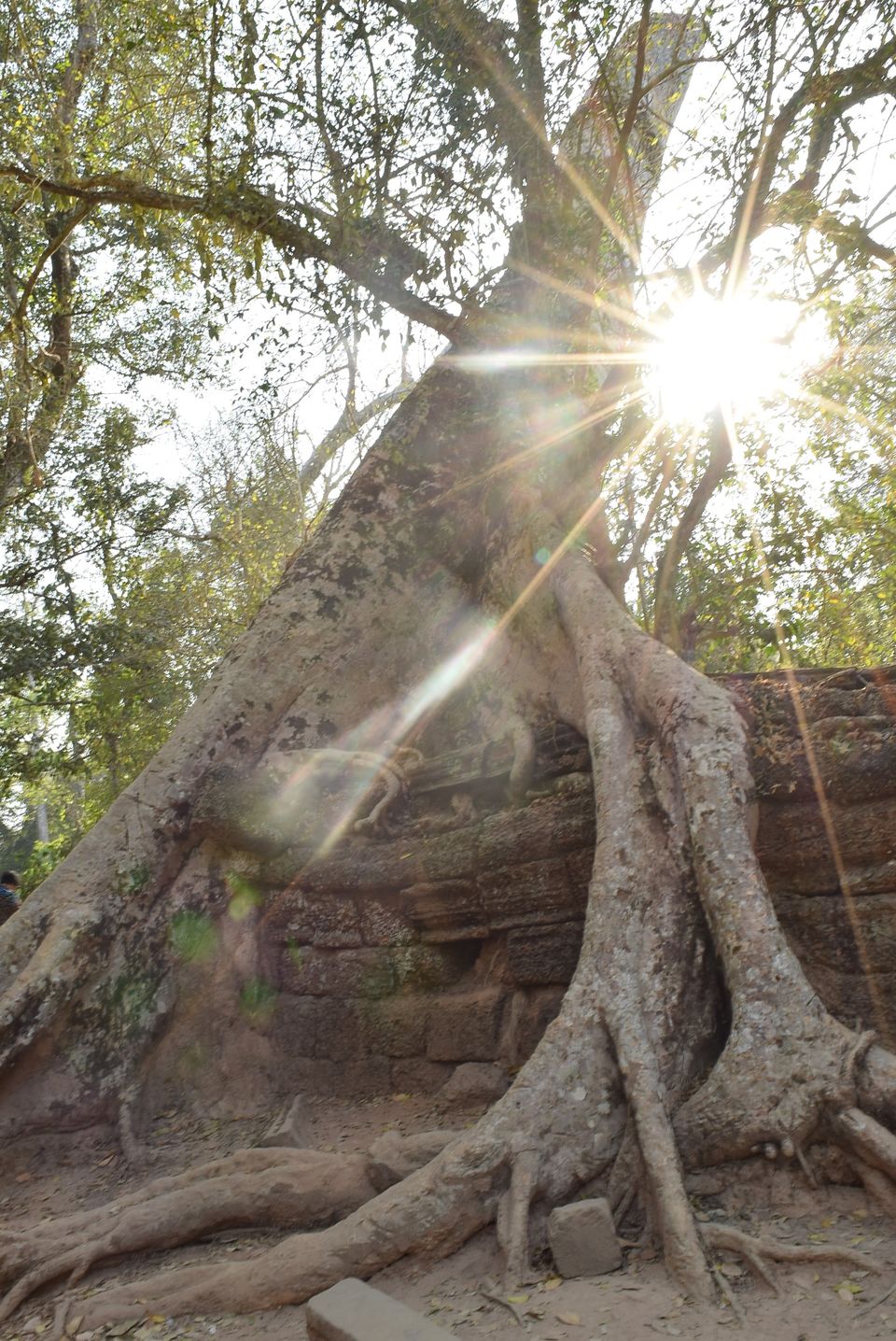 Photo of 11 Must Visit Temples In Siem Reap! 8/40 by Nikita Anand
