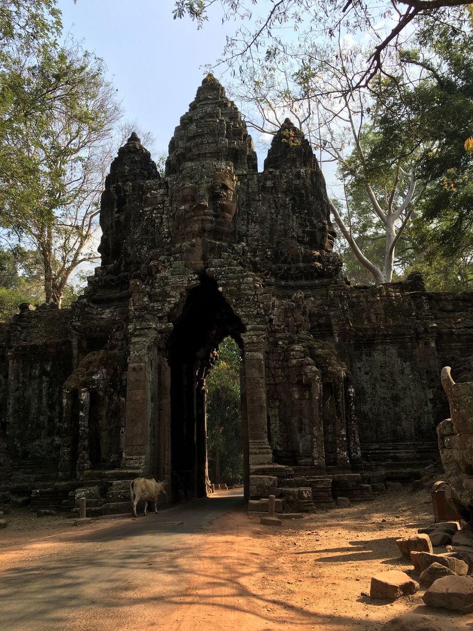 Photo of 11 Must Visit Temples In Siem Reap! 19/40 by Nikita Anand