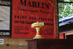 Photo of Off the beaten track: 10 Reasons to visit Nusa Lembongan, Bali 11/11 by Nikita Anand