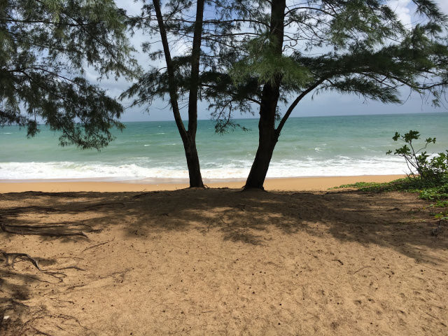 Photo of Phuket- A much needed break! by Nikita Anand