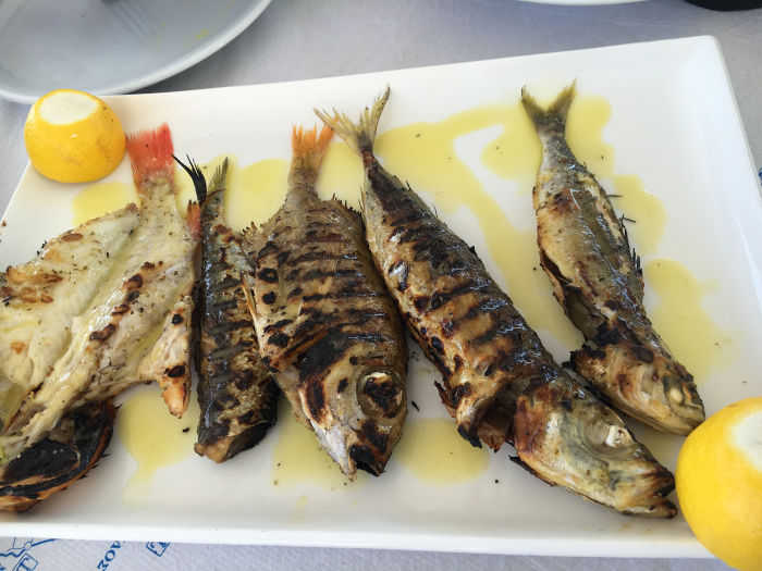 Photo of 5-day guide to the stunning Santorini! by Nikita Anand