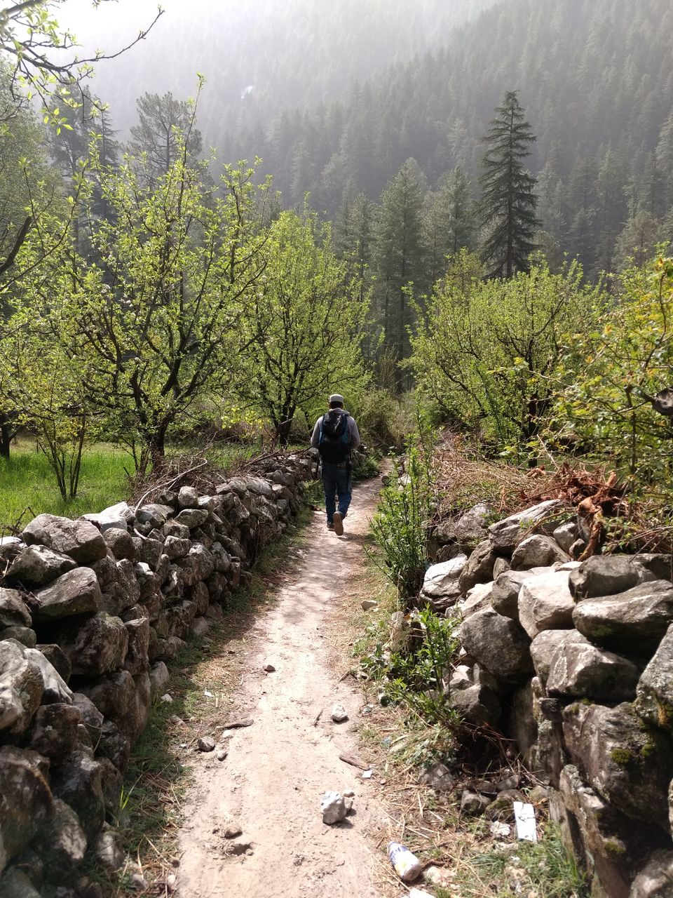 Photo of How I didn't get high but still felt high in Kasol 6/12 by vishnu nair